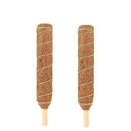 LIVEONCE Coco Pole -Moss and Coir Stick for Indoor, House and Plant Creepers Support 1 FEET -Pack of 2 -Color -Natural