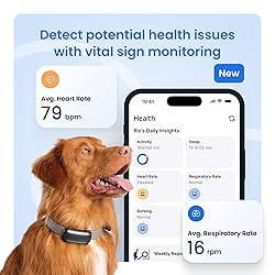 Tractive Smart Dog GPS Tracker | Live Pet Tracker