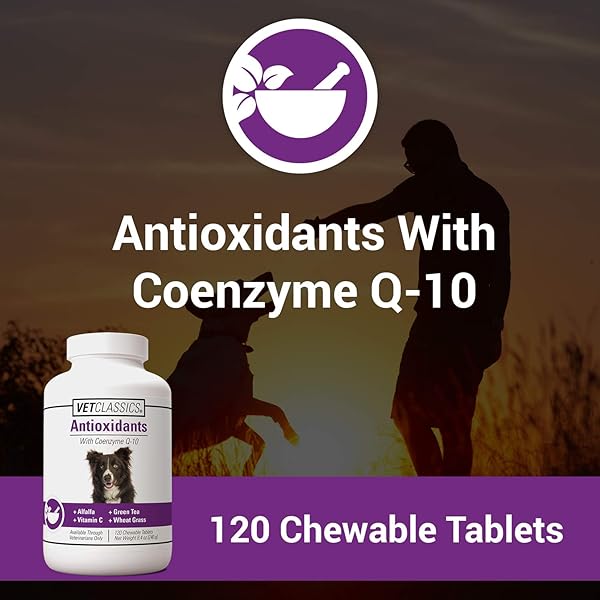 VET CLASSICS ANTIOXIDANTS WITH COENZYME Q-10 FOR DOGS, WITH ALFALFA, GREEN TEA, VITAMIN C, & WHEAT GRASS, 120 CHEWABLE TABLETS