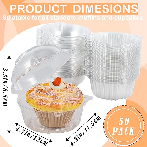 Dyrfolm 50 Pack Cupcake Holders Individual,Plastic Single Muffin