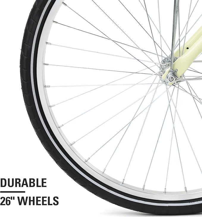 Viribus Comfortable Commuter Cruiser High Carbon