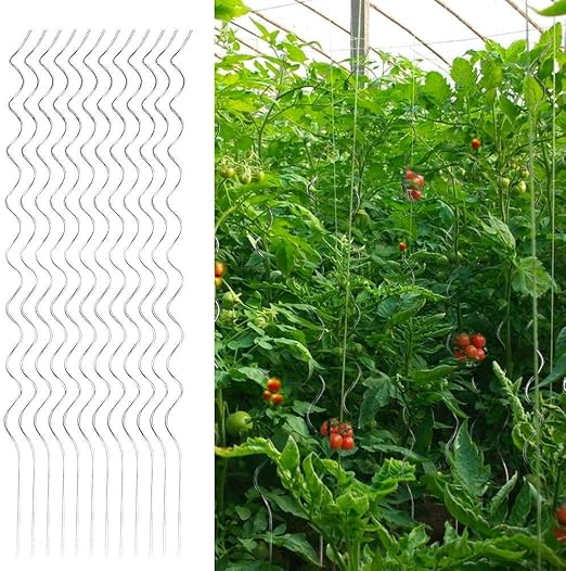 yahee 20 x Tomate – Varilla Tomates en espiral (Rank ayuda Maceta ...