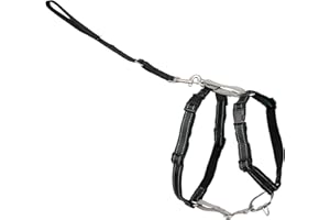 PetSafe 3-in-1 Harness - Comfortable Easy-Walk Dog Chest Harness with Front Leash Attachment to Reduce Pulling, Choking & Gagging - Dog Obedience Gear - Medium - Black