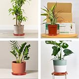 TStarJungle 5 Pack Plant Saucers 36cm Thick Drip Trays Indoor Outdoor view 6