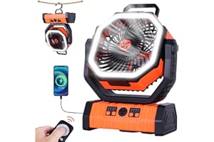 TDLOL Camping Fan Battery Powered Fan with LED Lantern, 𝟮𝟬𝟬𝟬𝟬𝗺𝗔𝗵 Portable Camping Fan for tents, 8H Timer & 270°Osicllating Fan Rechargeable Battery Operated Fan, USB Desk Fan Beach Fan with Hook