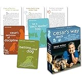 Cesar's Way Deck: 50 Tips for Training and Understanding Your Dog