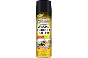Spectracide Foaming Wasp & Hornet Killer, Blanketing Foam Kills by Contact, 14 Ounces