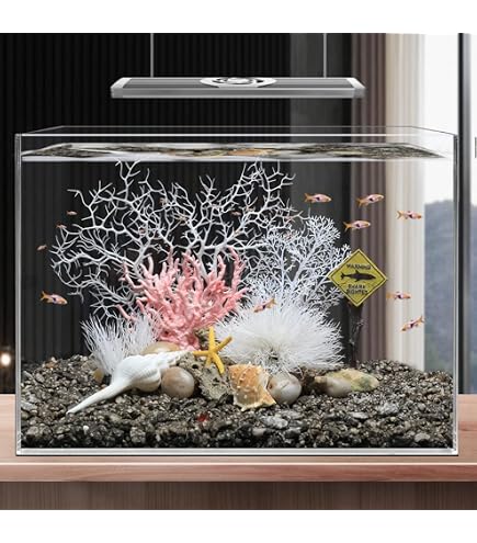 Amazon.com: HXSCOO 1pcs 100% Natural Coral Sea White Coral Tree