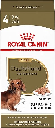 royal canin dachshund puppy dry dog food