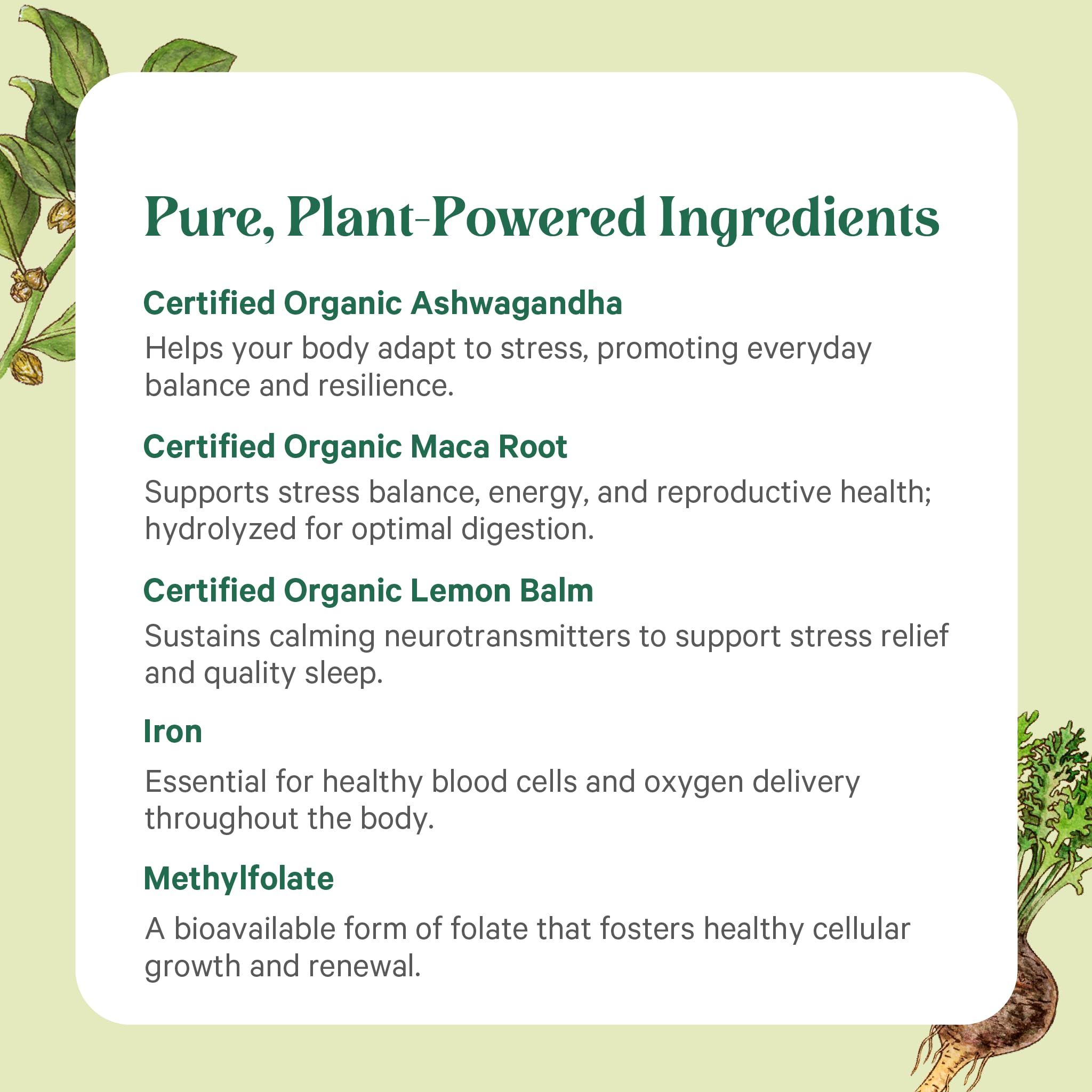 PURE SYNERGY Vita·Min·Balance | Multivitamin for Women with Iron | Women’s Daily Multivitamin Made with Organic Whole Foods | for Balanced Energy and Stress Support (60 Tablets)