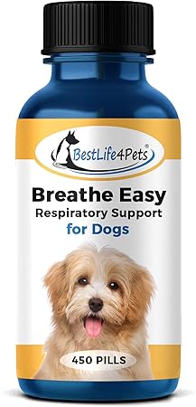 dog coughing and runny nose