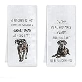 Cilrii Great Dane Gifts Kitchen Towels, Dog Lovers Gifts for Women Men Dish Tea Towels, Funny Great Dane Dog Decorative Hand Towel for Kitchen, 16x24 Inch Set of 2