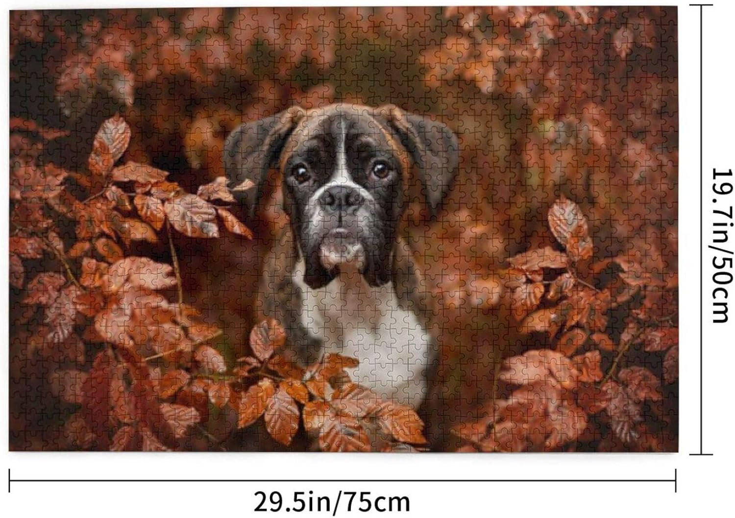 boxer dog jigsaw puzzles