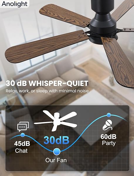 ANOLIGHT 52 INCH CEILING FAN WITH LIGHT, FLUSH MOUNT LOW PROFILE, REMOTE & APP CONTROL, QUIET 6-SPEED REVERSIBLE MOTOR, DIMMABLE LED WITH 3CCT, CEILING FAN FOR BEDROOM, LIVING ROOM, APARTMENT, BLACK