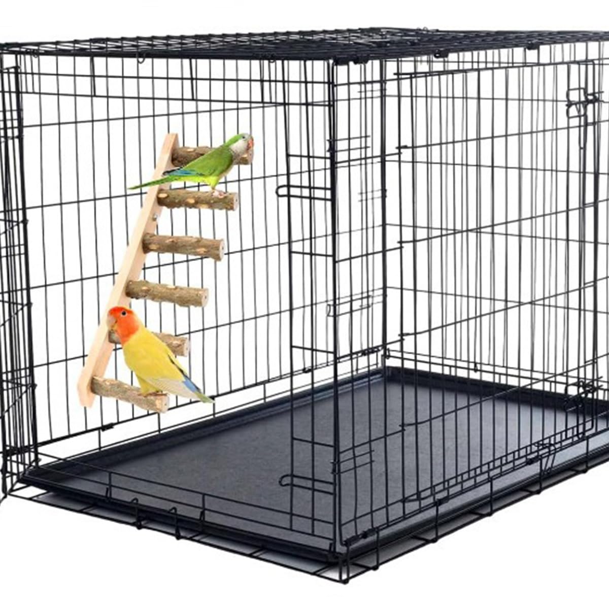 View 6