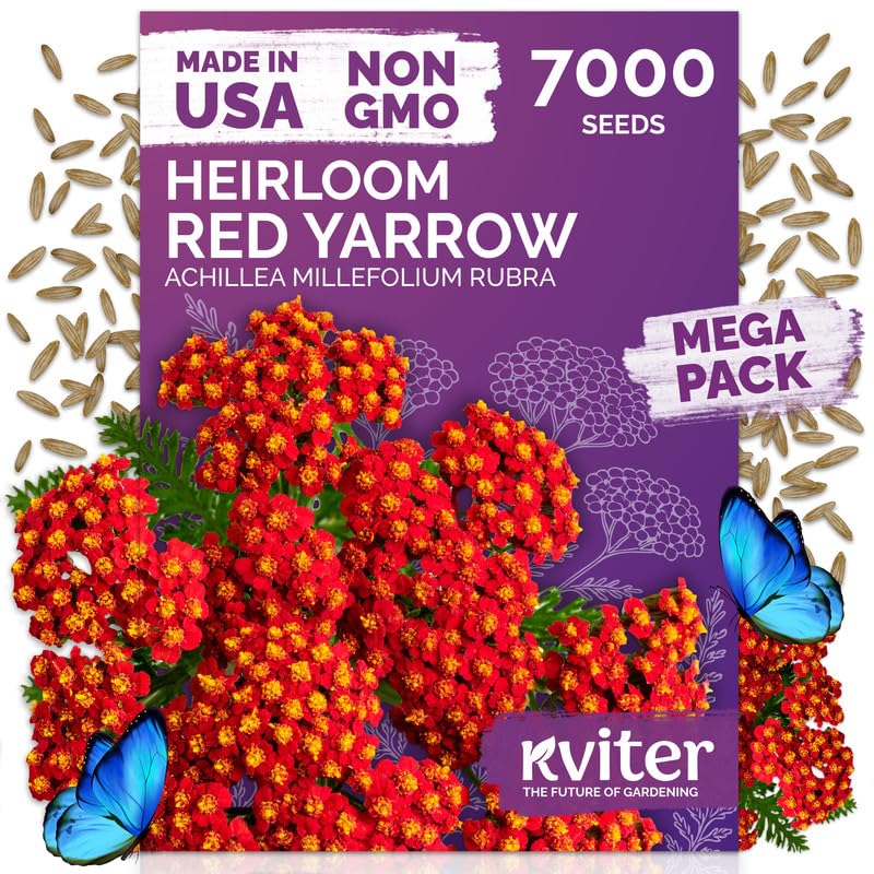 Red Yarrow Flower Seeds