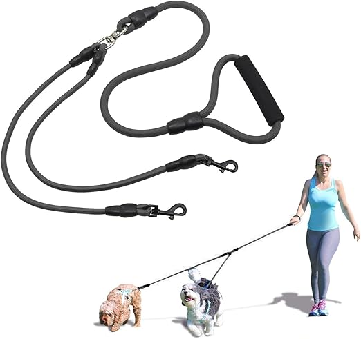 amazon double dog leash