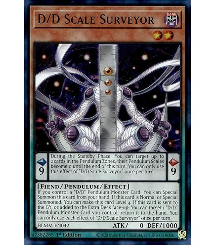 Amazon.com: Yu-Gi-Oh! D.D. Warrior Lady - SGX1-ENE04 - Secret Rare