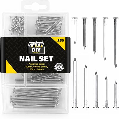 SOL Masonry Nails Assorted 60mm 40mm 30mm 25mm 20mm in Storage Box