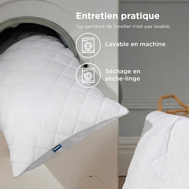 Antiallergiques Lot 2 Oreillers - 40x80 Anti-Acariens Amovible Doux