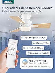 LEDIARY 30 Inch Small Ceiling Fan with Lights and