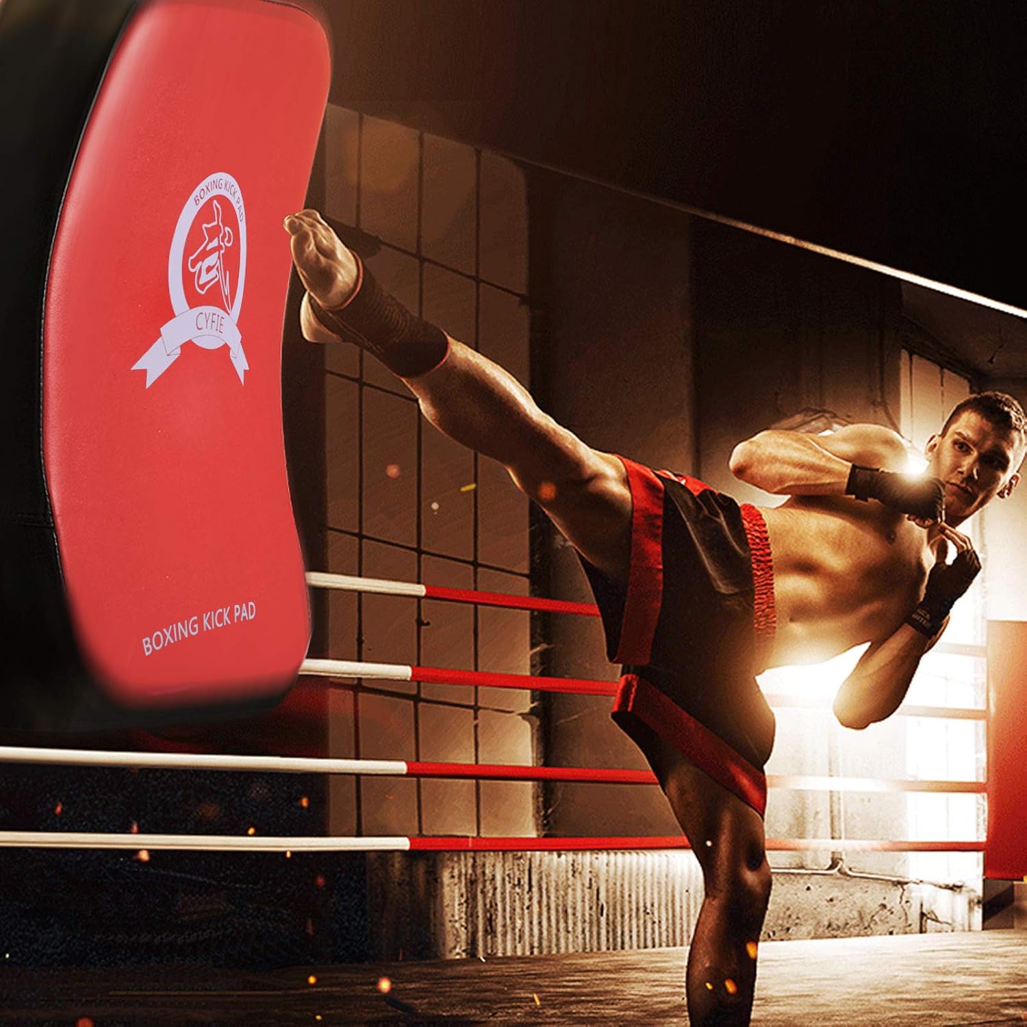 SEISSO Boxing Muay Thai Pads Taekwondo Kick Pad, Martial Arts Training Equipment, Boxing Training Pads for Boxing Dojo Battle Taekwondo Karate : Sports & Outdoors