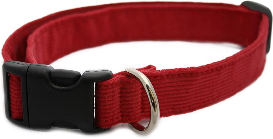 smart choice dog collar