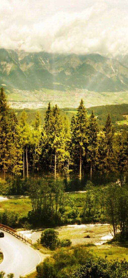 PeelitStickit, Beautiful Nature Wall Murals, ID-1431, vinyl, Multi-colour