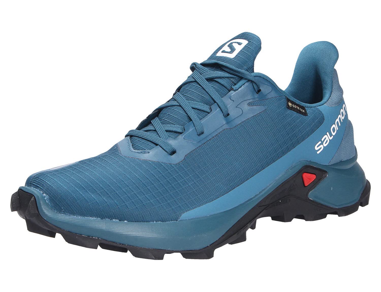 Salomon Men's ALPHACROSS 3 Gore-TEX Trail Running