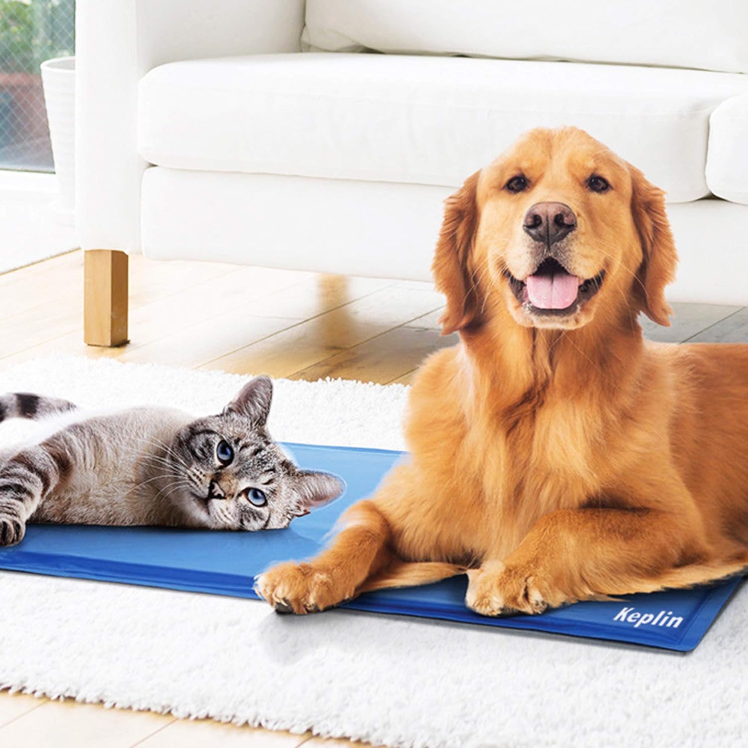 cooling mattress pad for dogs