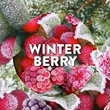 Air Wick Air Freshener Plug In Diffuser Winter Berry Wonderland Twin Refills view 2