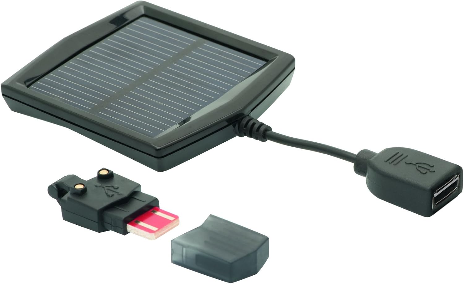 blackburn flea not charging