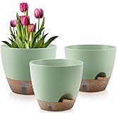 QRRICA Self-Watering Plant Pots with Water Level Indicator, Drainage Holes & Saucers – 12/10/9 Inch Large Plastic Planter Set for Indoor & Outdoor Plants (Green)