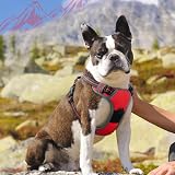 Eagloo Dog Harness Medium No Pull Front Back Clips Adjustable Reflective Red M view 2