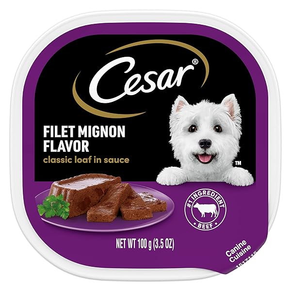 CESAR WET DOG FOOD CLASSIC LOAF IN SAUCE FILET MIGNON FLAVOR, 3.5 OZ. EASY PEEL TRAY 24