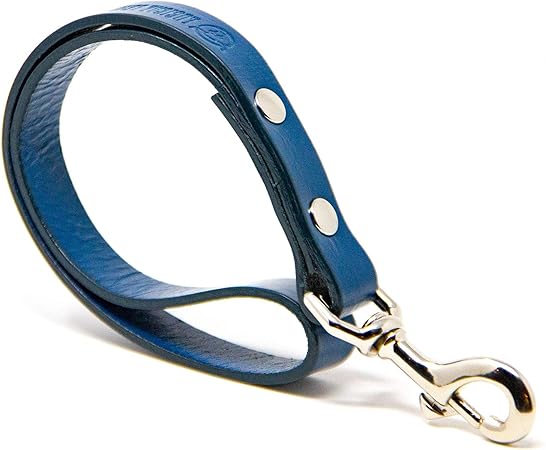short leather leash