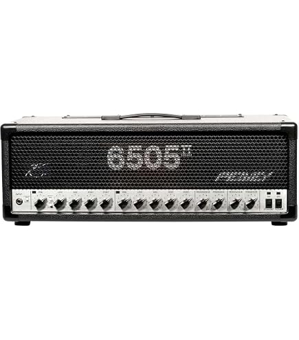 Amazon.com: Peavey 6505 1992 Original 120-watt Tube Head : Musical