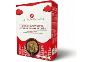 Ma Poule Express Dried Mealworms for Wild Birds, Chickens, Ducks – 1 lb (0.45 kg) | Approx. 16,000 Mealworms | High Protein N
