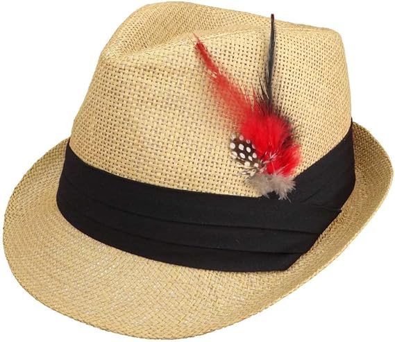 womens fedora hat with feather