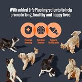HiLife Adult Wet Dog Food Mixed Chicken Recipes in Broth & Jelly 32 x 150g view 3
