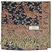 Falari Women's Woven Paisley Pashmina Shawl Wrap Scarf 80