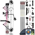 PANDARUS Compound Bow Set 10-40lbs for Pull Child Right Hand Lightweight Design Bow Adjustable 16"~28" Draw Length IBO 290fps New 2024 Professional Set for Youth&Kids