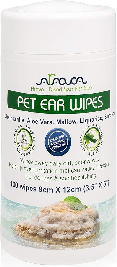 shiba inu min pin mix