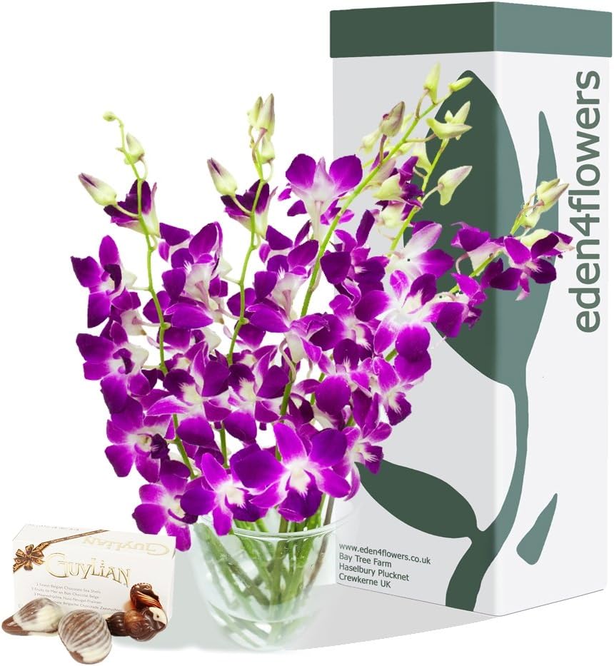 Eden4flowers TOKYO ORCHIDS BOUQUET & CHOCOLATES - florist arranged fresh bouquets of Dendrobium Orchids