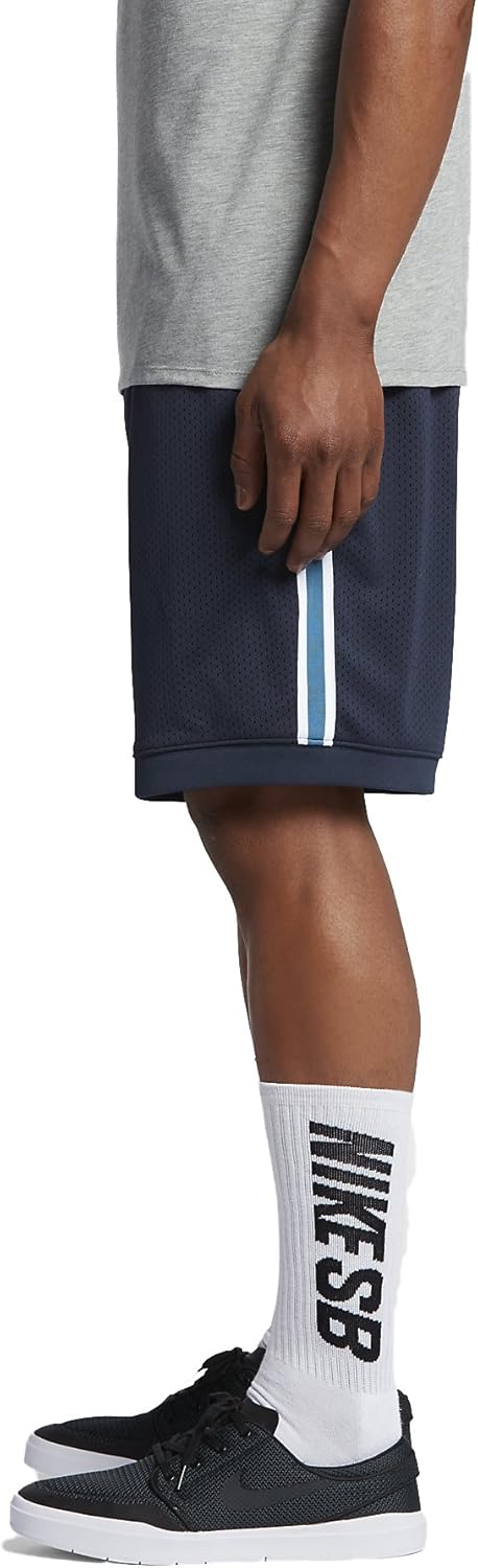 nike sb dry court shorts