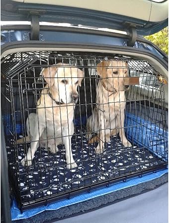 car dog crate for labrador