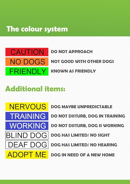 friendly dog bandana