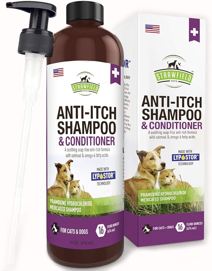 australian shepherd done deal