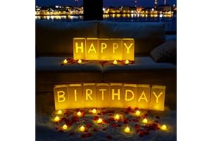 Homemory Happy Birthday Light Up Letters Luminary Bags with Flameless Candles and Fake Rose Petals, Happy Birthday Sign Party Decoration for Women Men