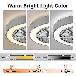 Jinweite Ceiling Fan with Light, 19 inches LED
